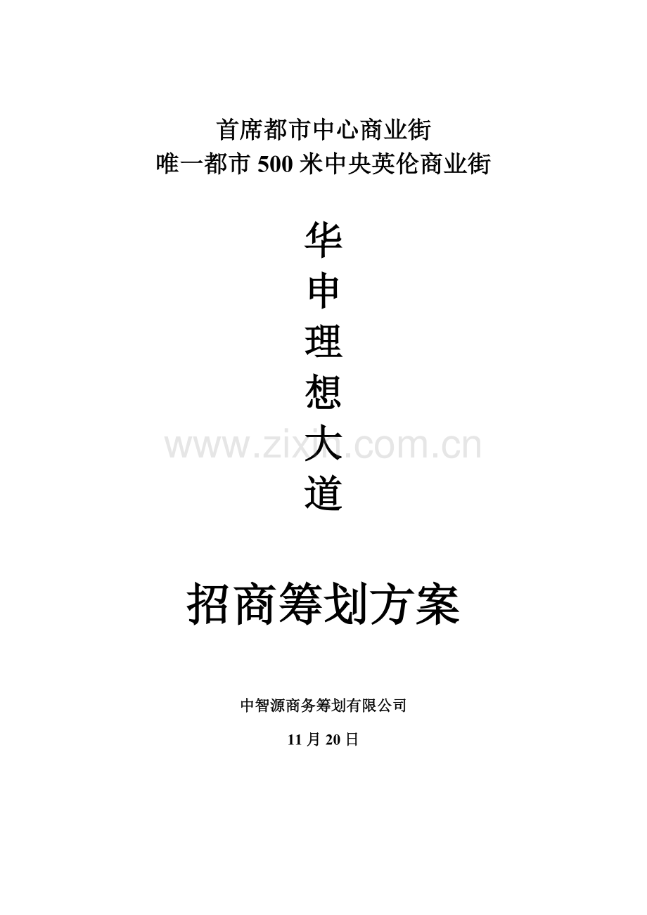 华申理想大道招商专题方案.docx_第1页