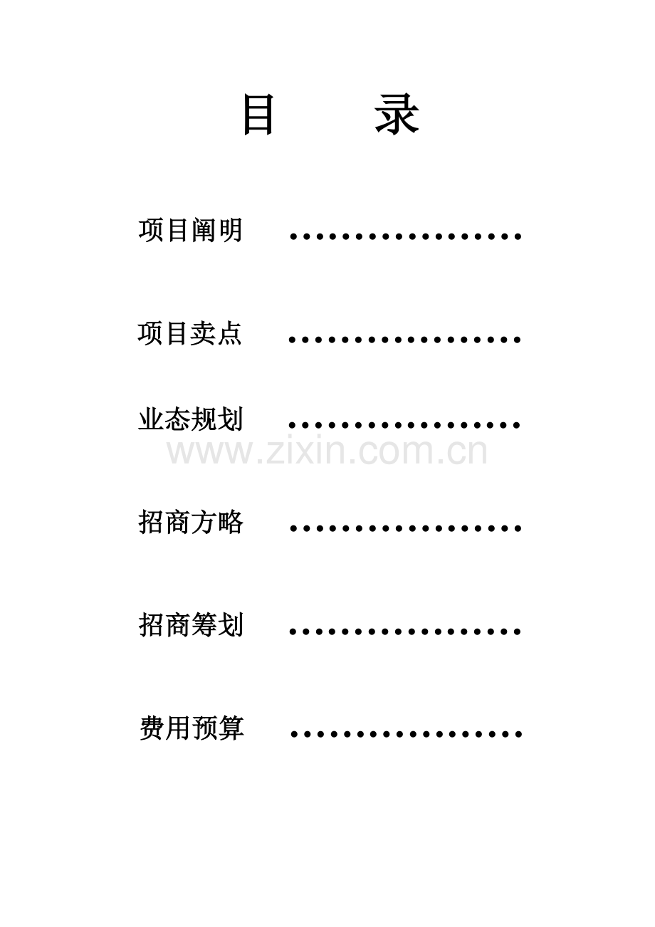 华申理想大道招商专题方案.docx_第2页