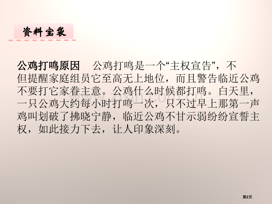 快乐的小公鸡.pptx_第2页