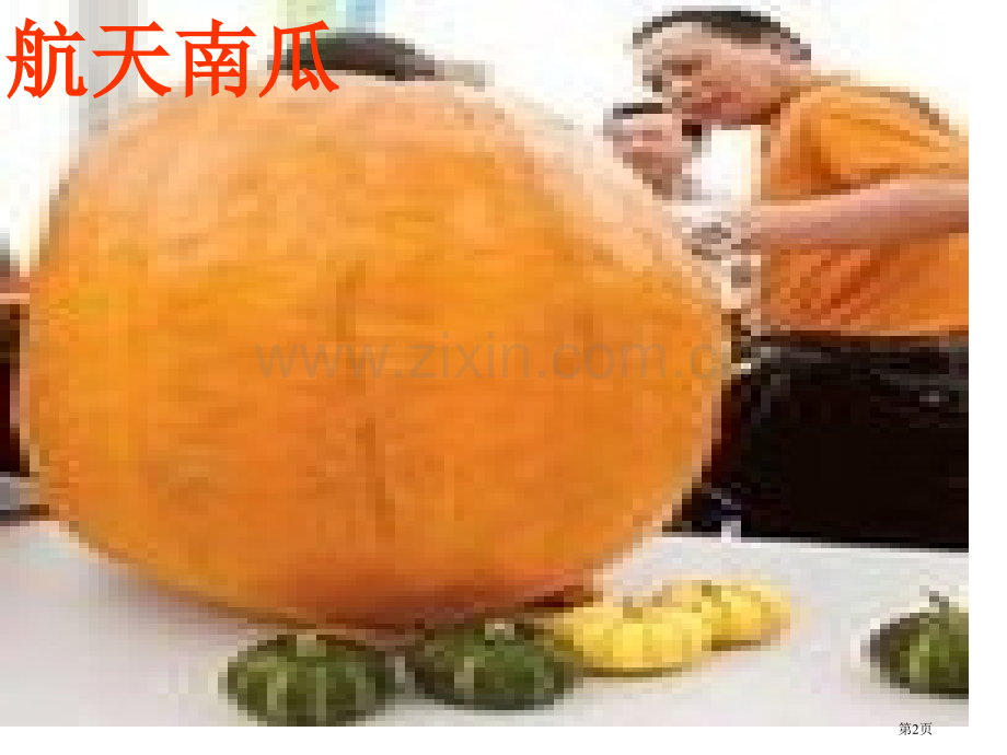 人教新课标四级语文上册呼风唤雨的世纪市公开课一等奖百校联赛特等奖课件.pptx_第2页
