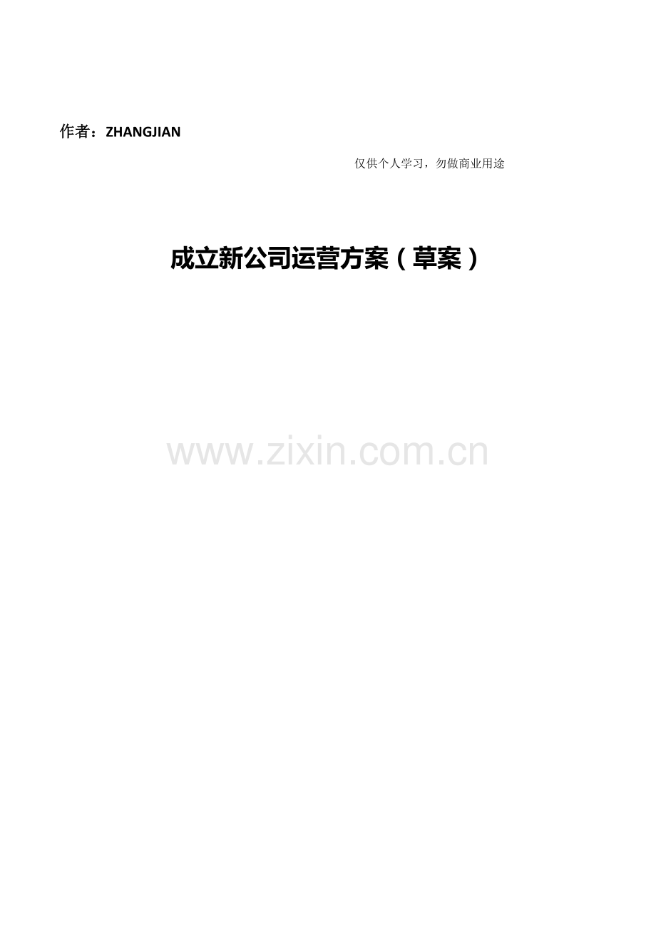 成立新公司运营专题方案模板.docx_第1页