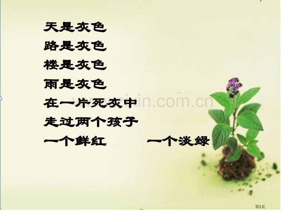 山羊兹拉特教案市公开课一等奖百校联赛获奖课件.pptx_第1页