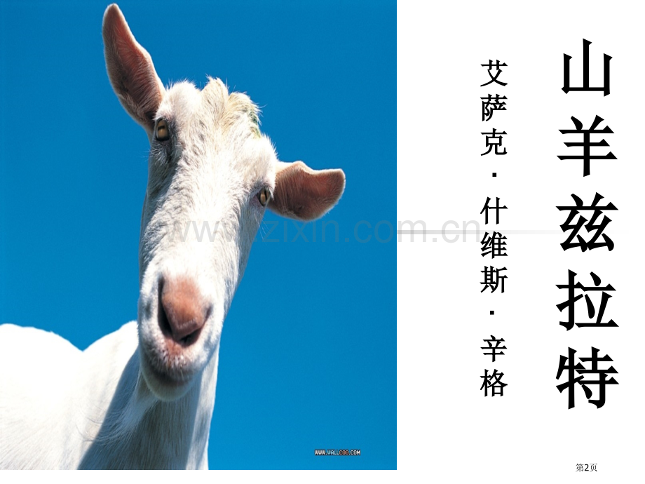 山羊兹拉特教案市公开课一等奖百校联赛获奖课件.pptx_第2页