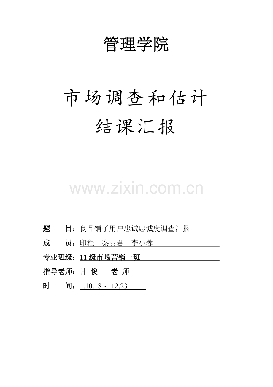 市场调研研究报告.doc_第2页