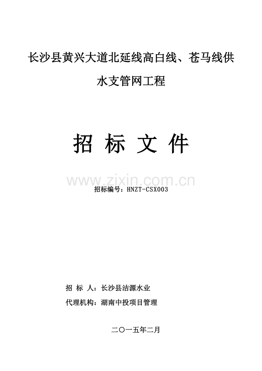 县高白线苍马线供水支管网工程招标文件模板.doc_第1页