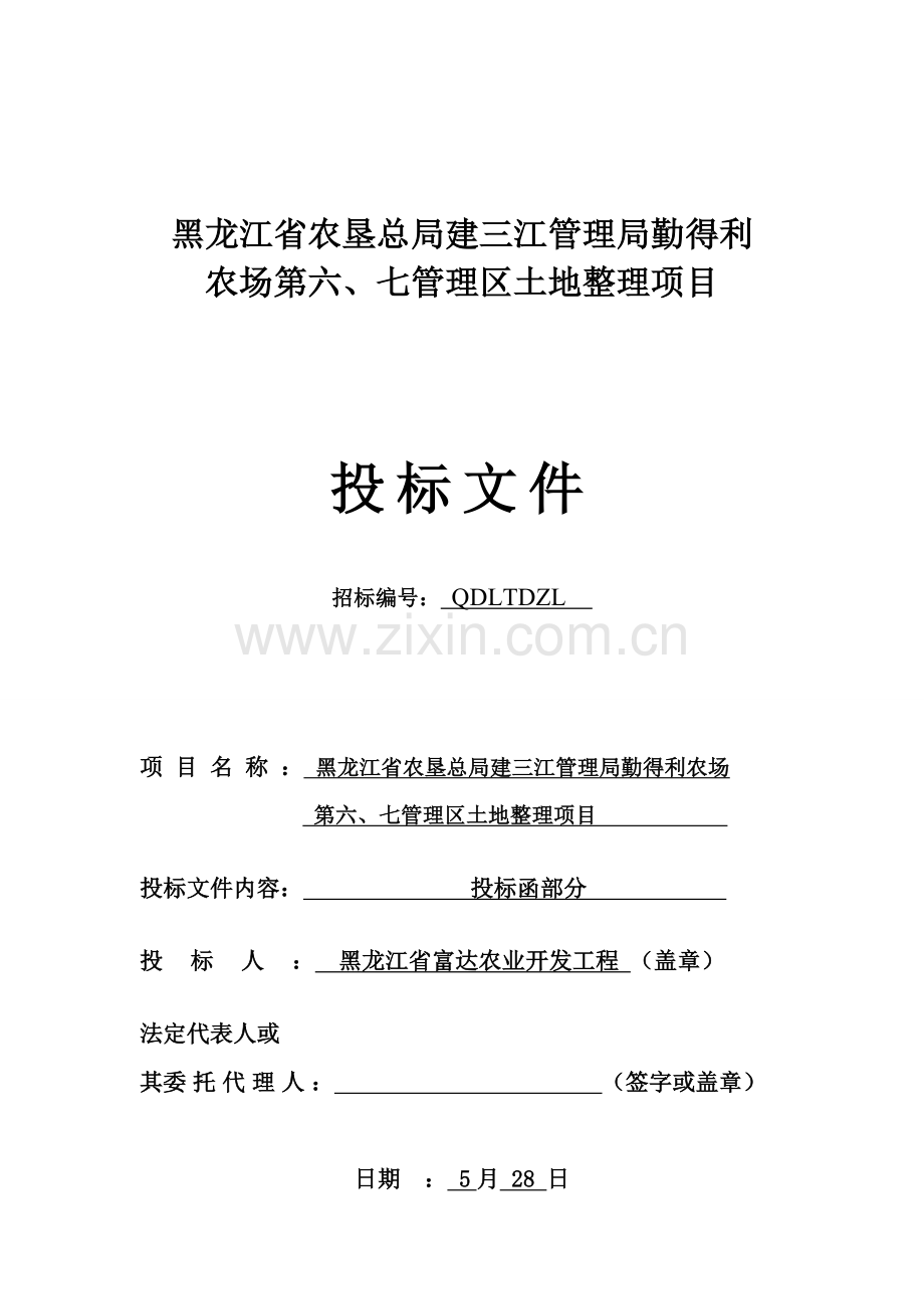 农场管理区土地整理项目投标文件模板.doc_第1页