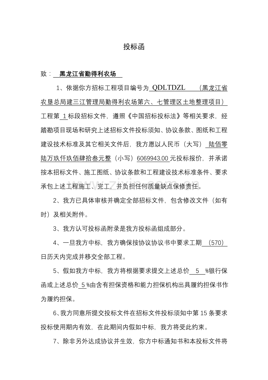 农场管理区土地整理项目投标文件模板.doc_第2页