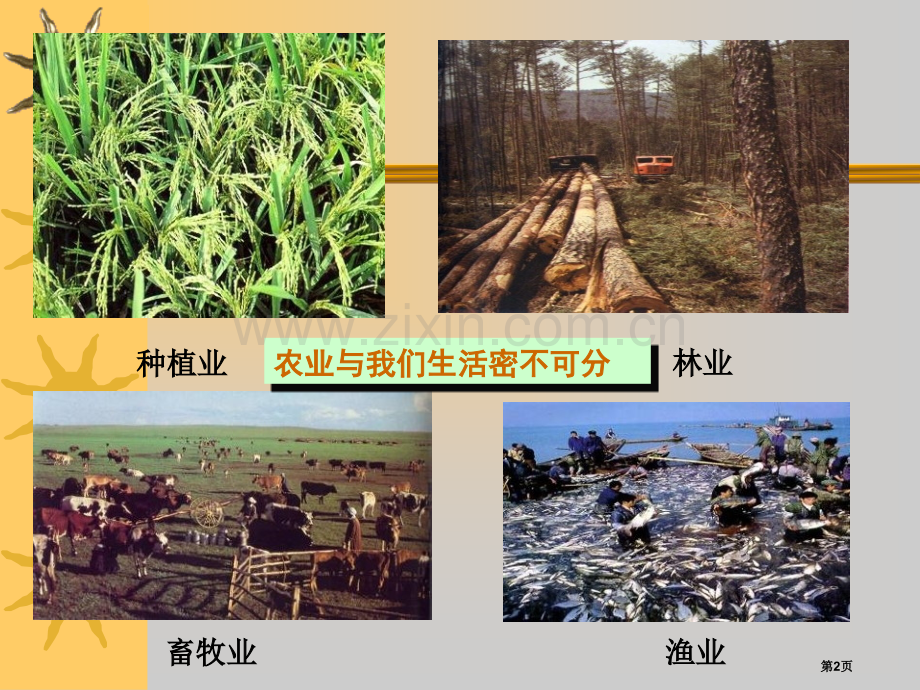 农业的分布课件省公开课一等奖新名师比赛一等奖课件.pptx_第2页