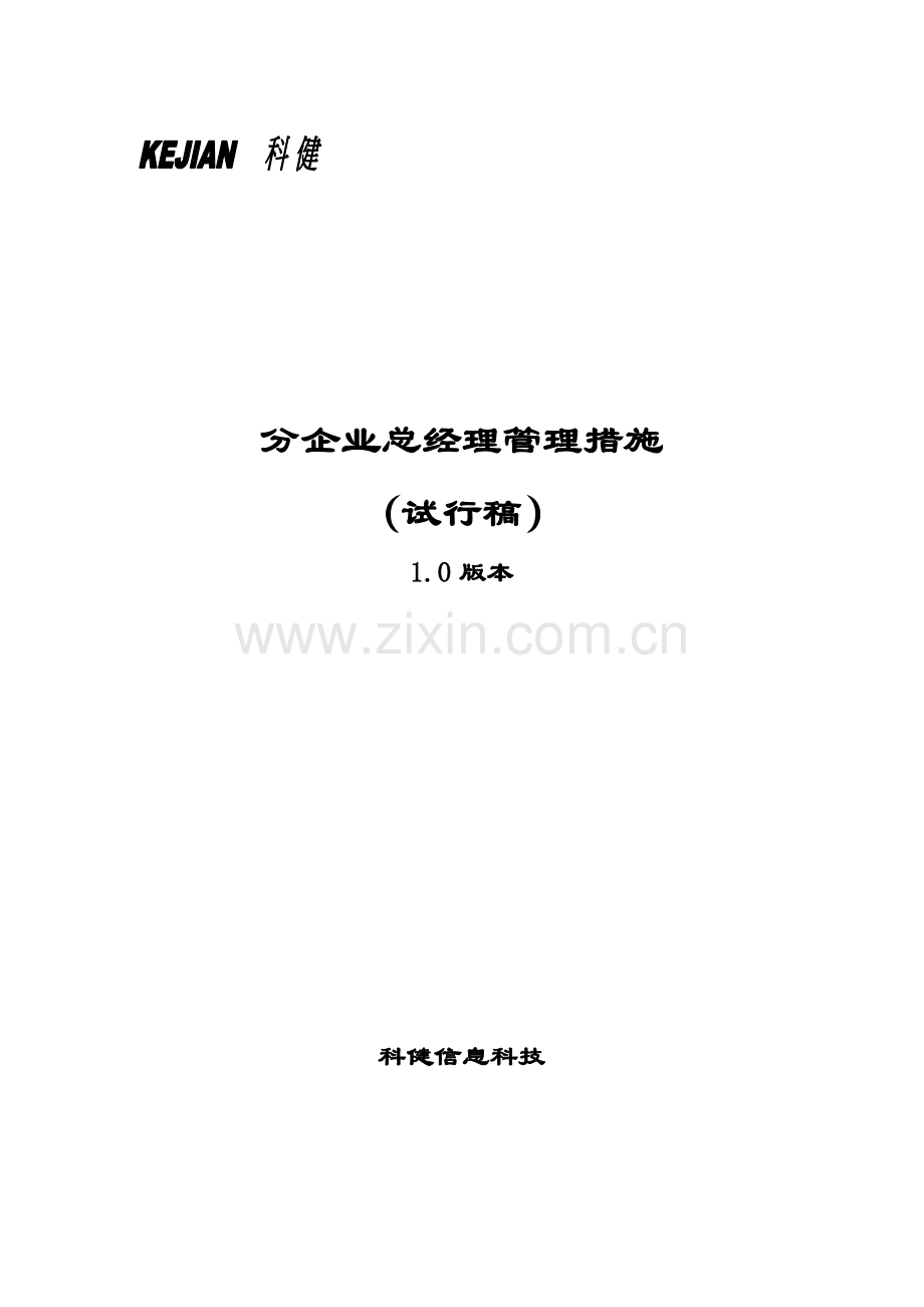 分公司总经理管理办法模板.doc_第1页