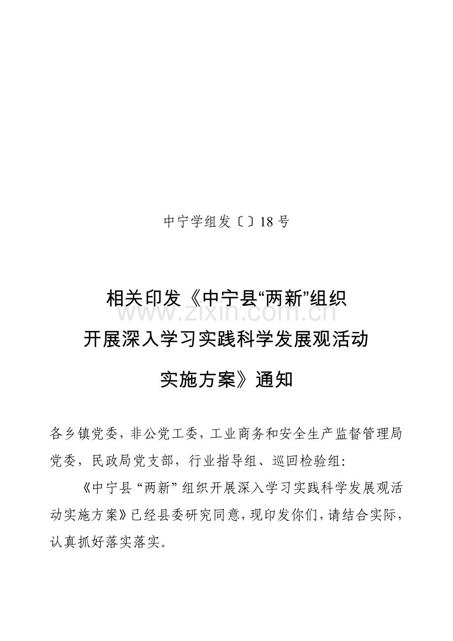 两新组织实施专项方案定稿.doc_第1页