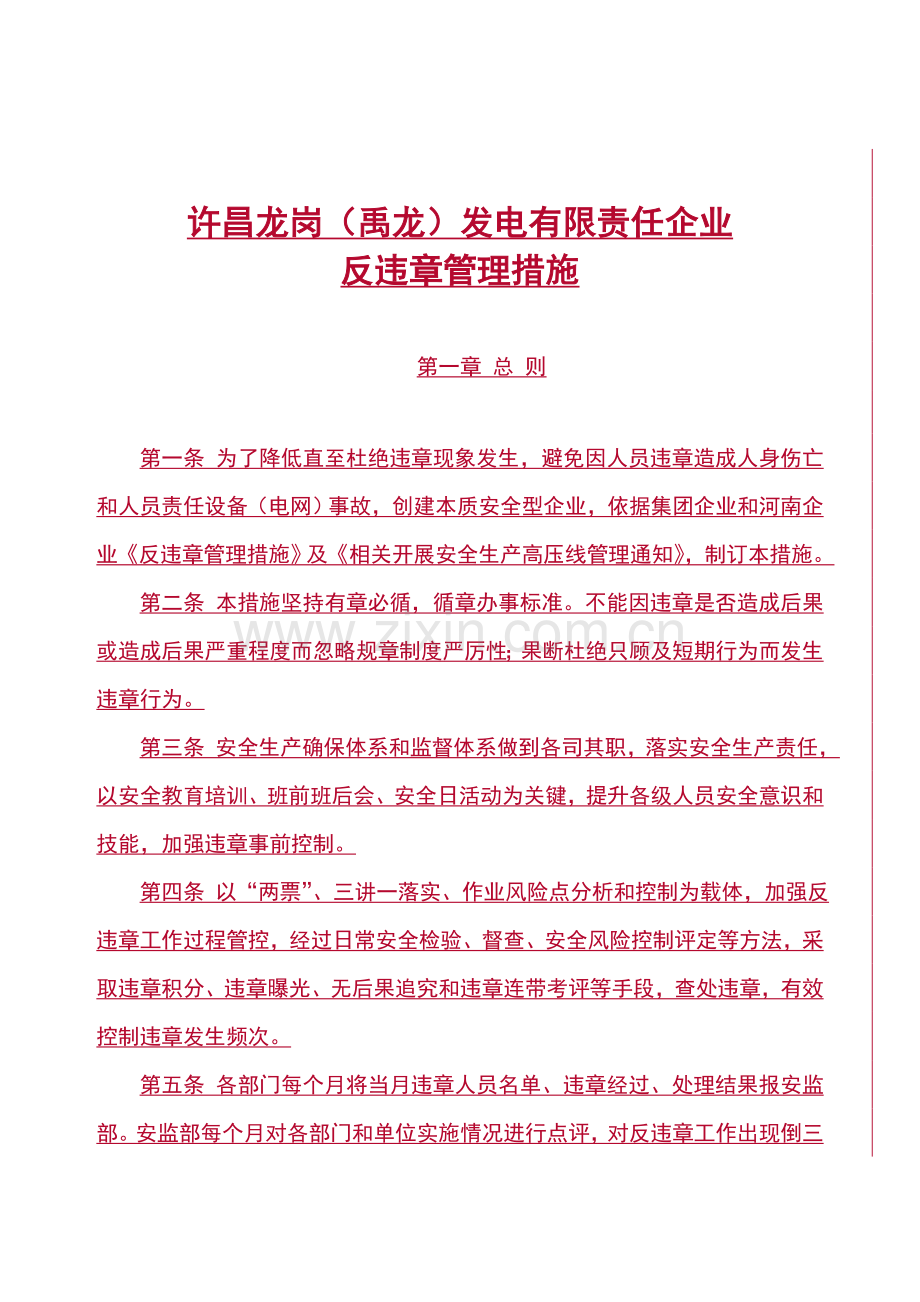 发电有限责任公司反违章管理办法模板.doc_第1页