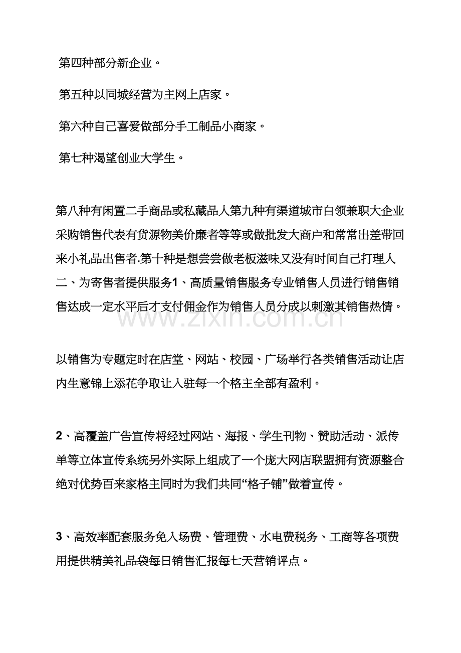 店铺营销专业策划专项方案.docx_第2页