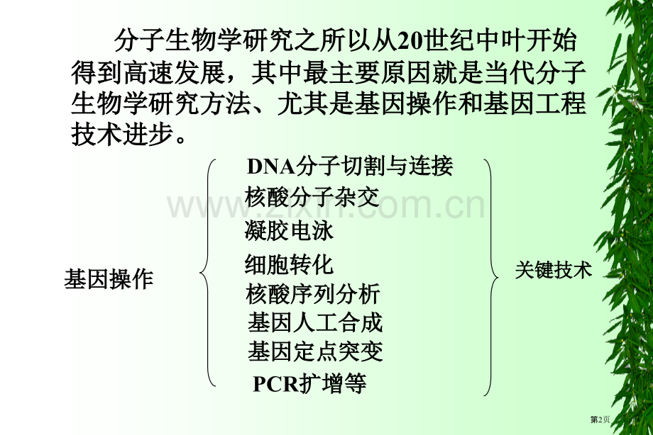 分子生物学基础了解省公共课一等奖全国赛课获奖课件.pptx_第2页