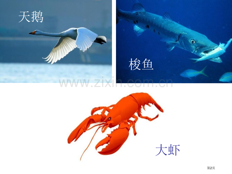 天鹅、大虾和梭鱼.pptx_第2页
