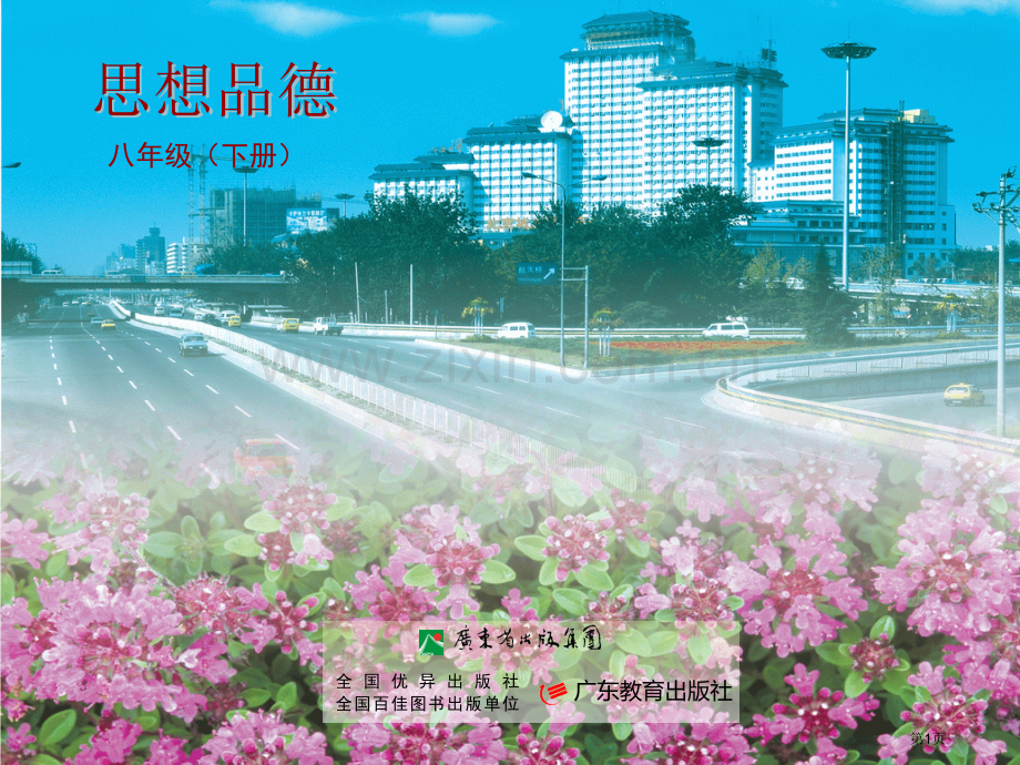 思想品德八年级下我们的智力成果权(2)省公共课一等奖全国赛课获奖课件.pptx_第1页