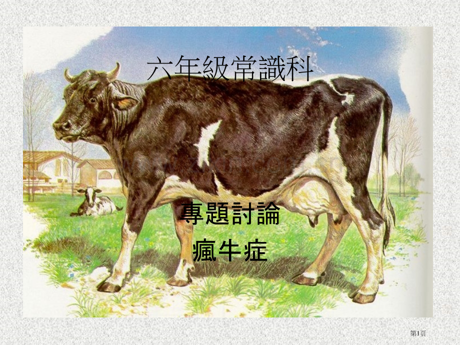 六年级常识科市公开课一等奖百校联赛特等奖课件.pptx_第1页