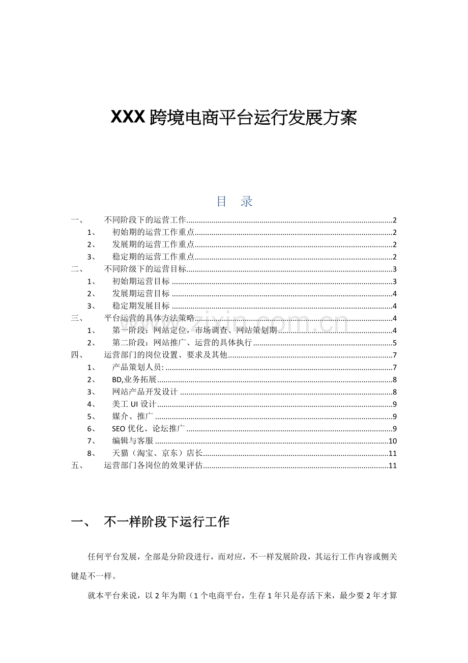 X跨境电商平台运营发展专项方案.docx_第1页