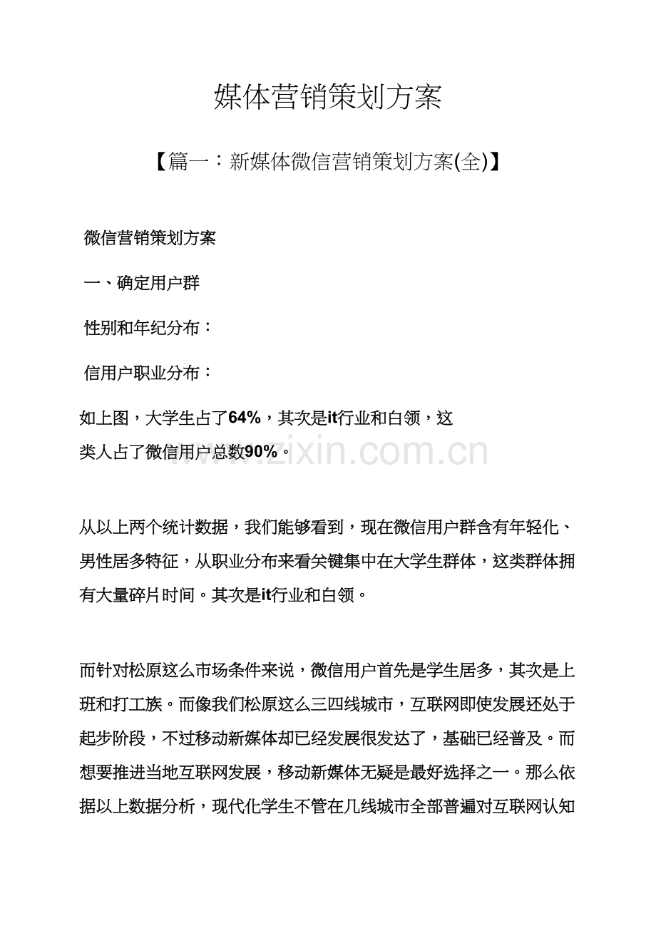 媒体营销专业策划专项方案.docx_第1页