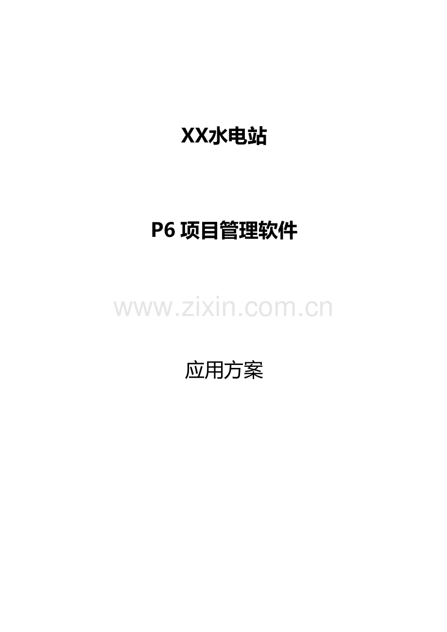 PPPM软件应用专题方案.docx_第1页