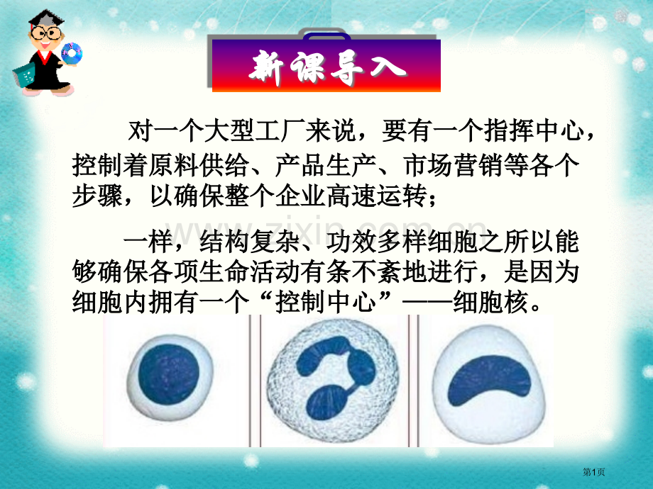 人教版高中生物必修一细胞核省公共课一等奖全国赛课获奖课件.pptx_第1页