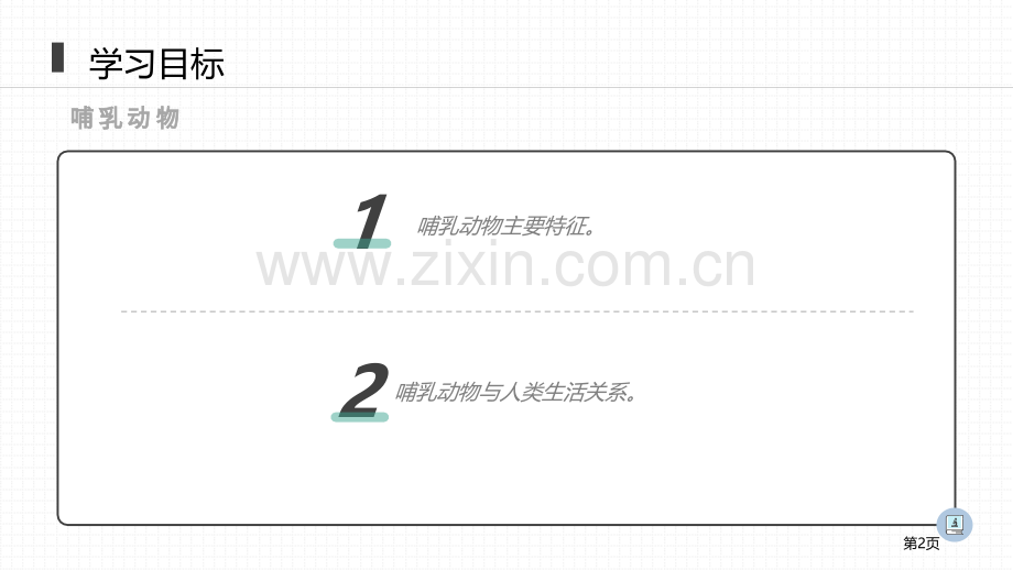 哺乳动物省公开课一等奖新名师比赛一等奖课件.pptx_第2页