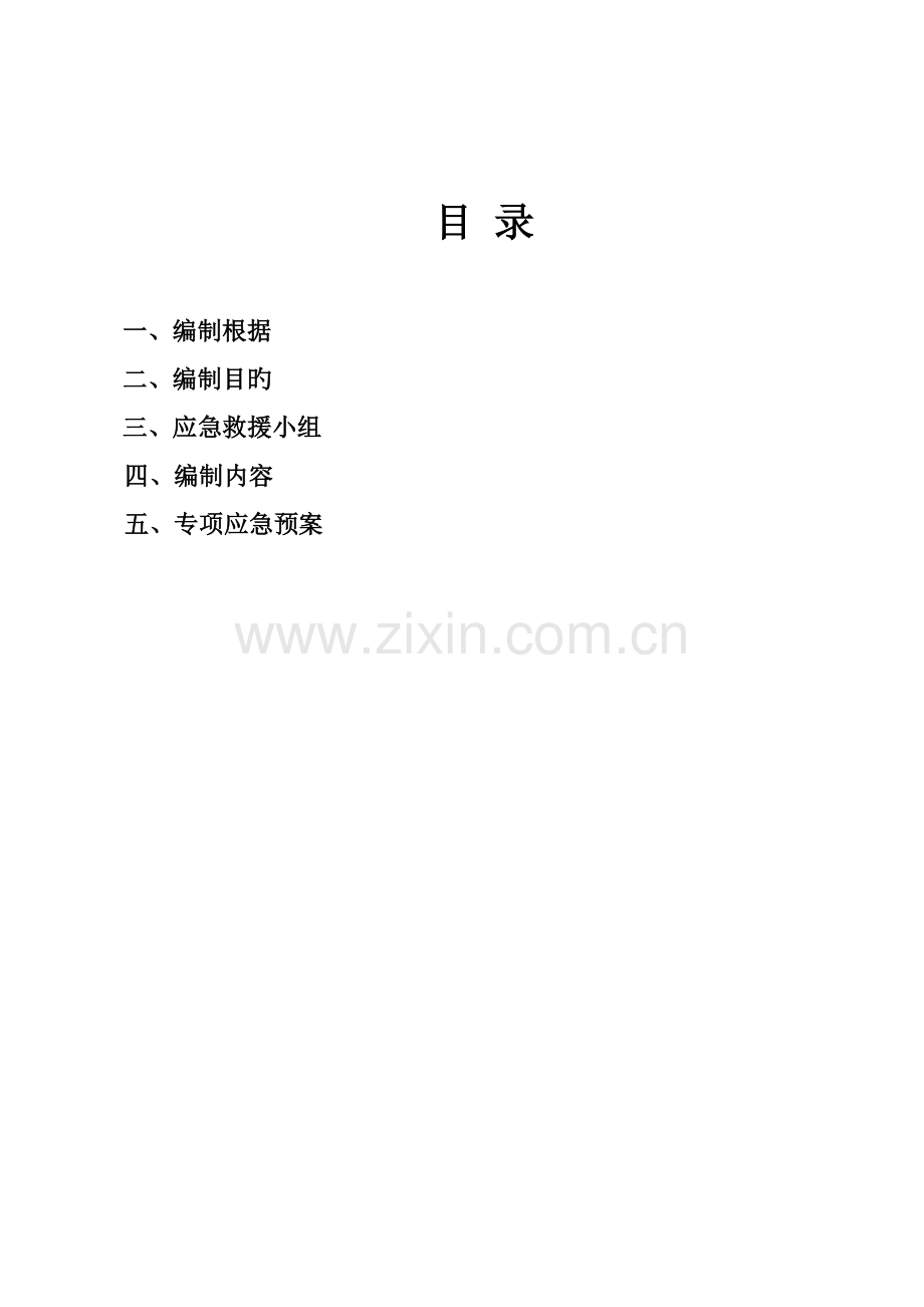 市政关键工程安全应急全新预案.docx_第2页