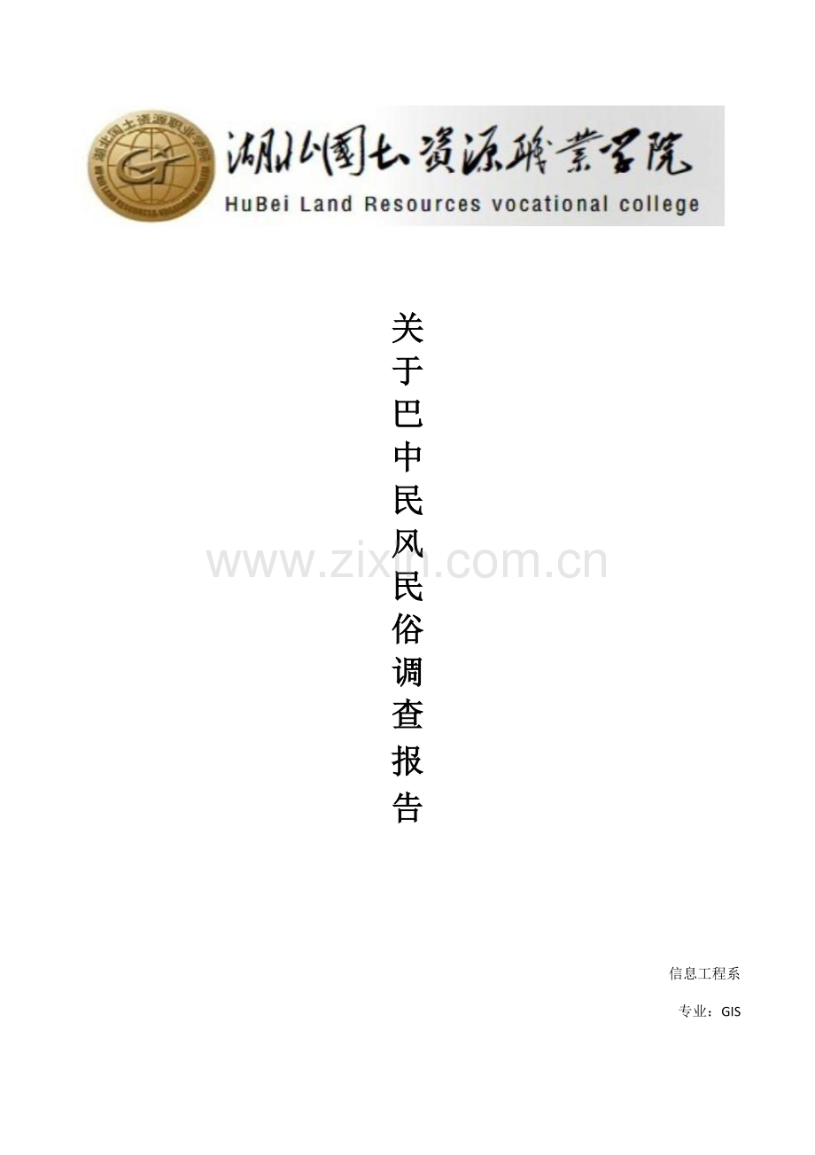 巴中民风民俗调查研究报告.docx_第1页