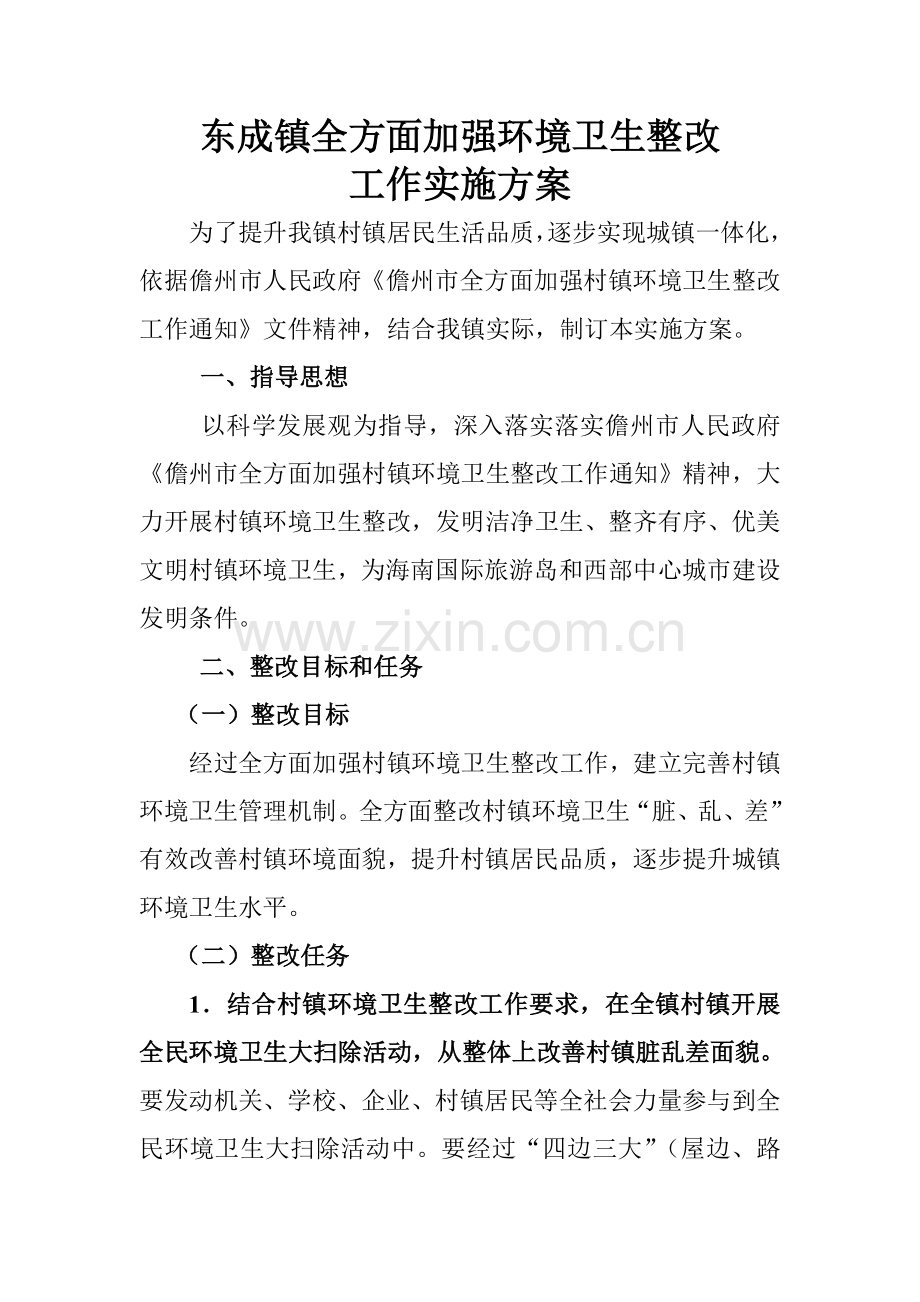 东成镇全面加强村镇环境卫生整治工作实施专项方案.doc_第1页