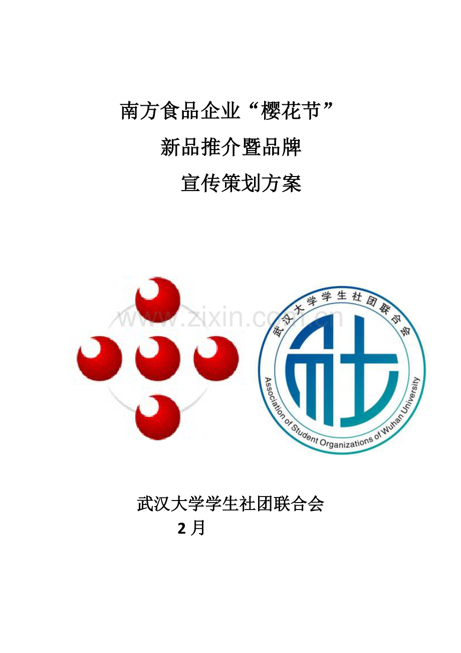 南方食品公司宣传专项策划案.doc_第1页