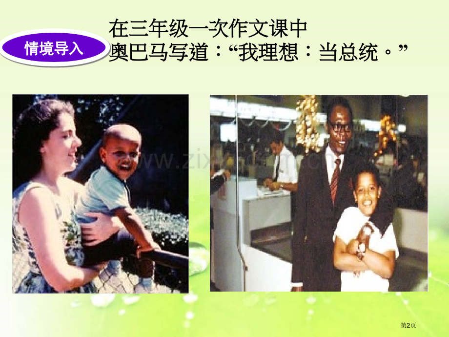 《成长(拉索尔贝克)》市公开课一等奖百校联赛获奖课件.pptx_第2页