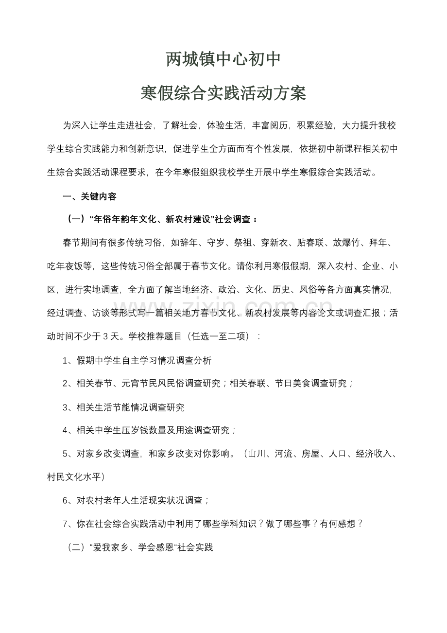 中学生寒假综合实践活动专项方案.doc_第2页