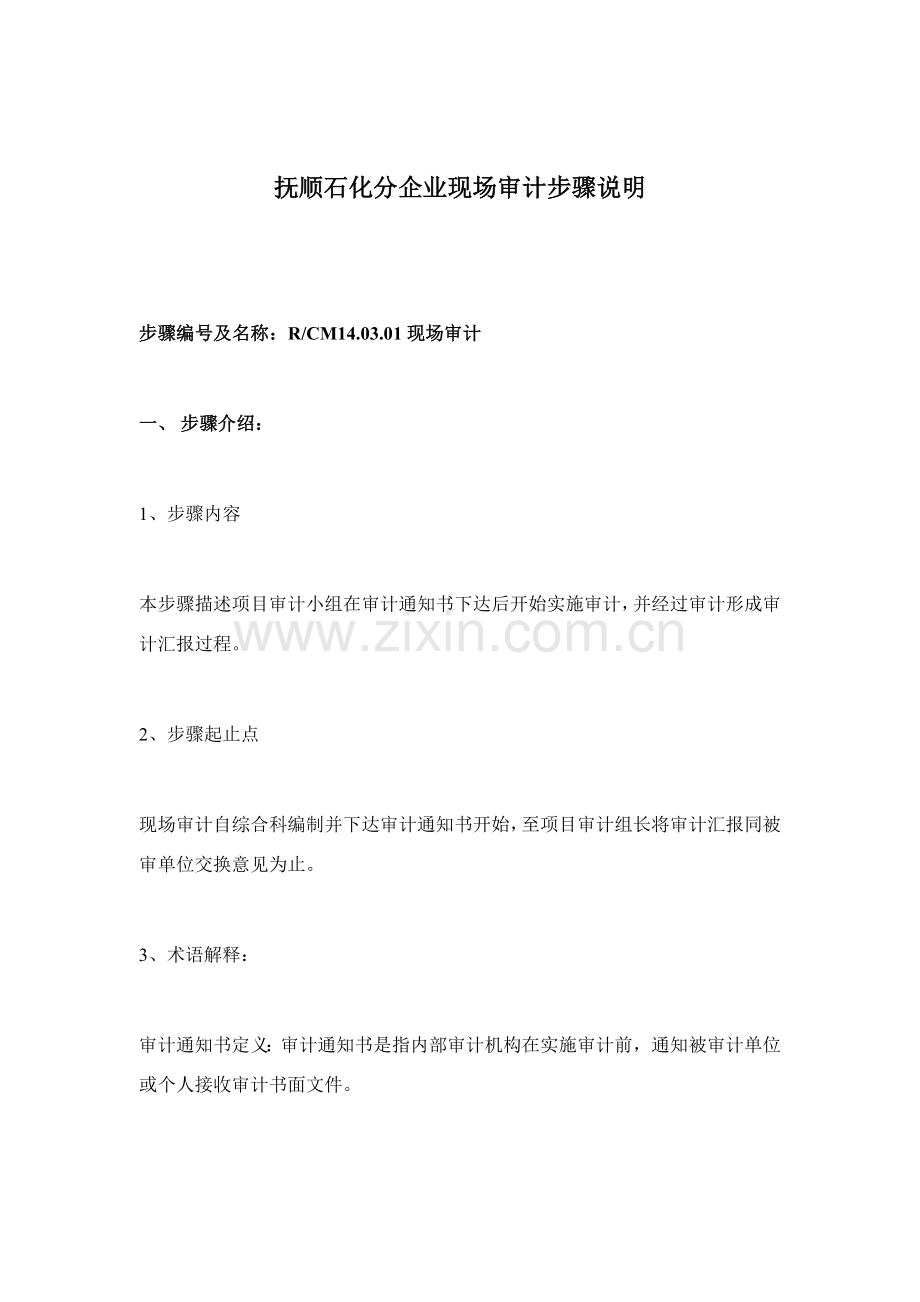 公司现场审计流程说明模板.doc_第1页