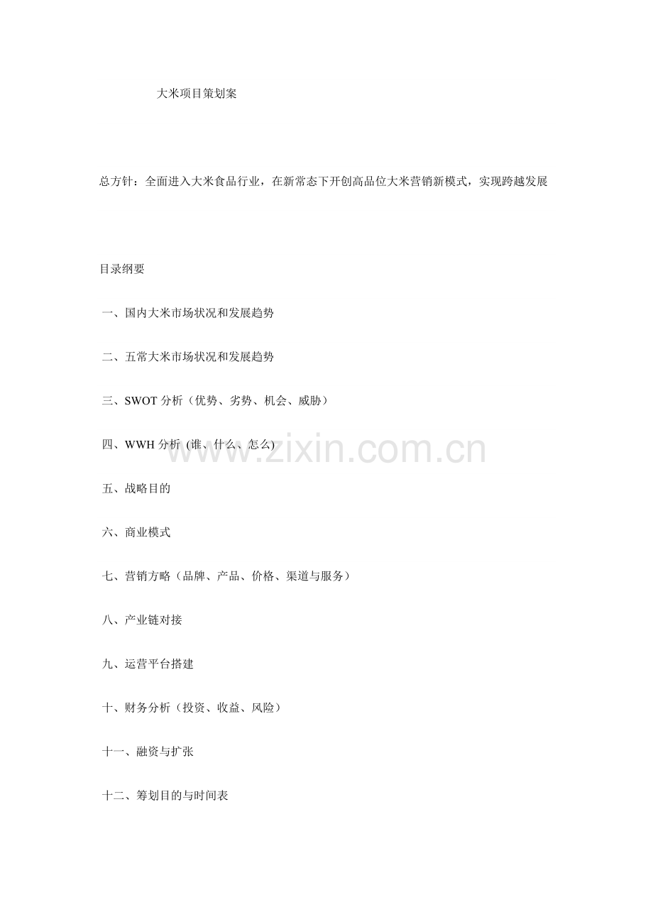 大米综合项目专业策划专项方案.doc_第1页