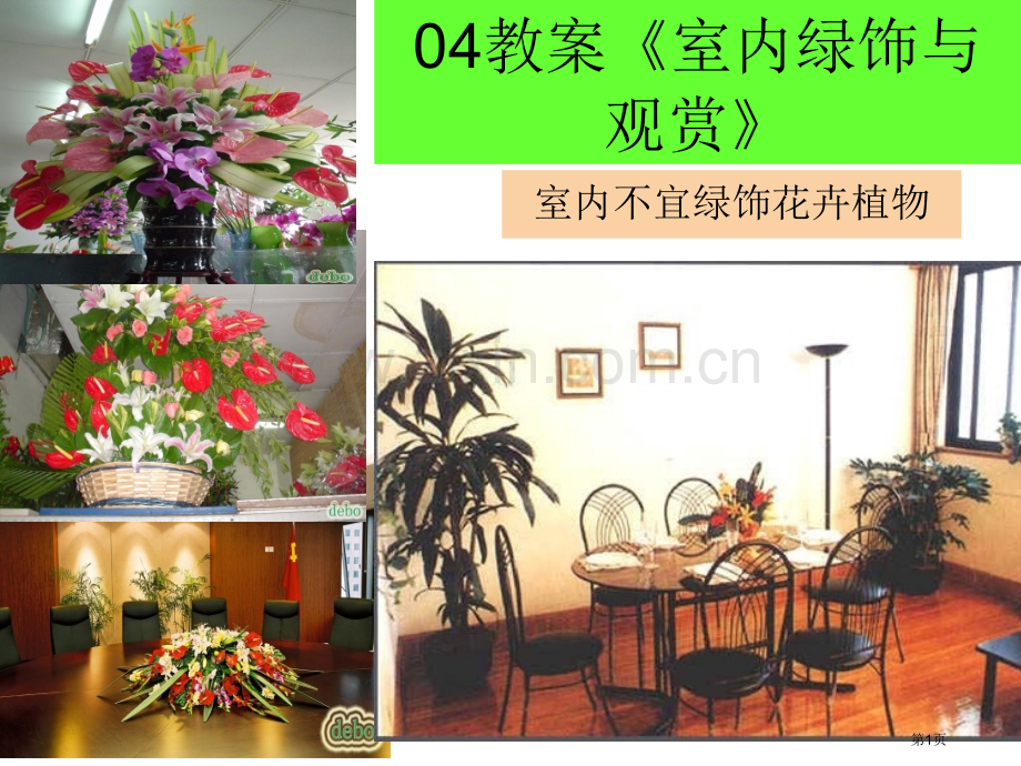 教案室内绿饰和欣赏室内不宜的绿饰花卉植物省公共课一等奖全国赛课获奖课件.pptx_第1页