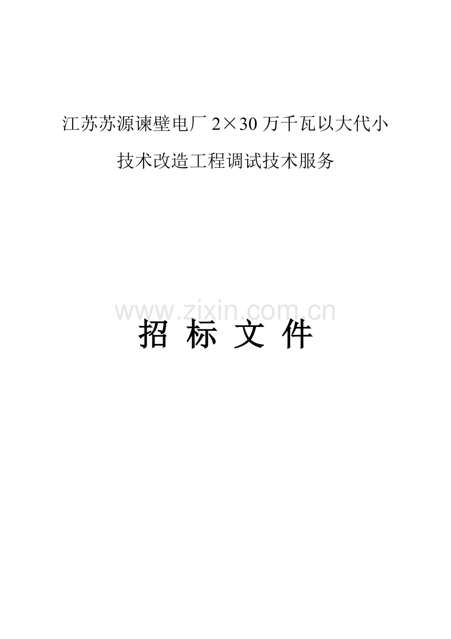 发电公司招标文件书模板.doc_第1页