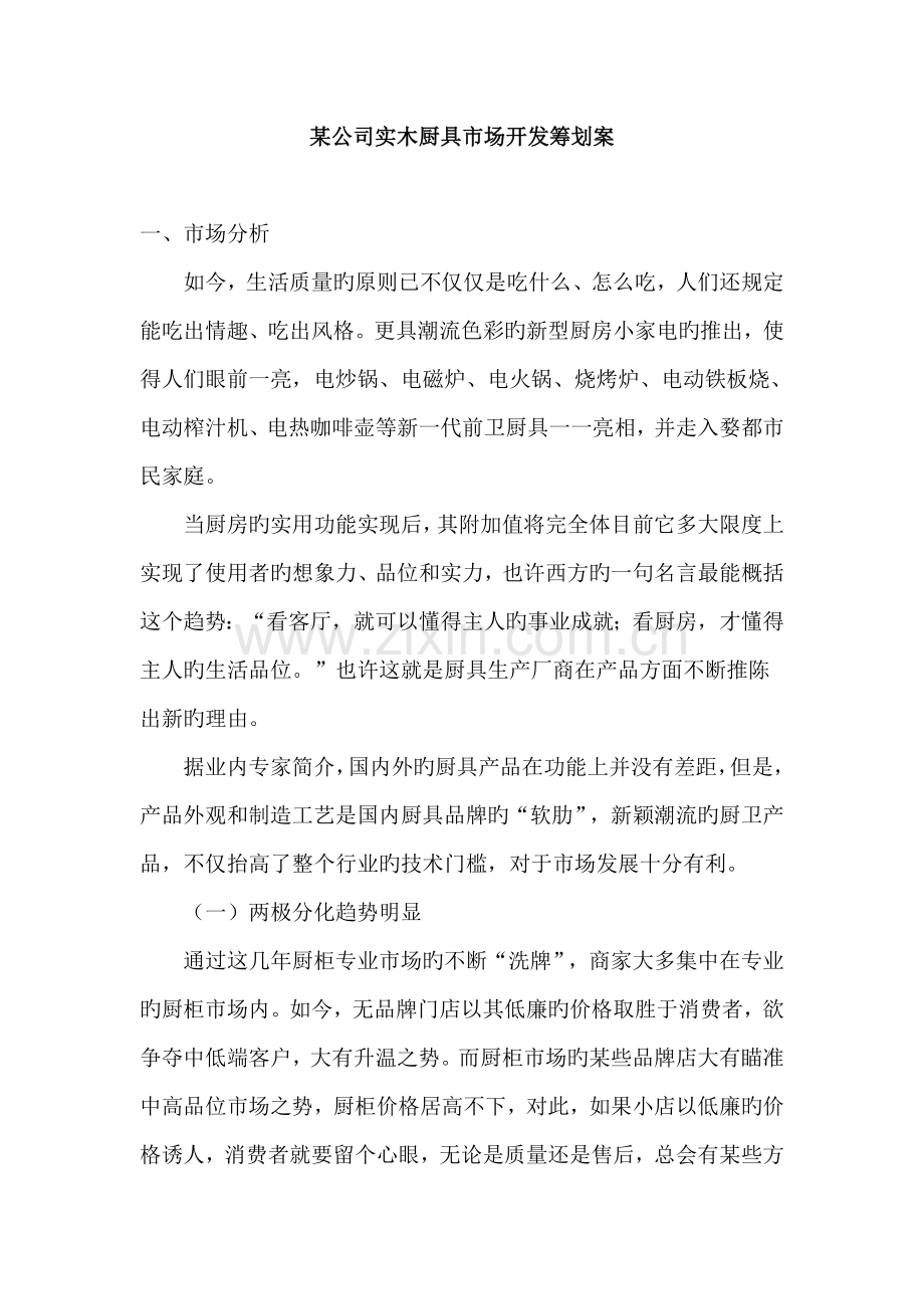 公司实木厨具市场开发专题策划案.docx_第1页