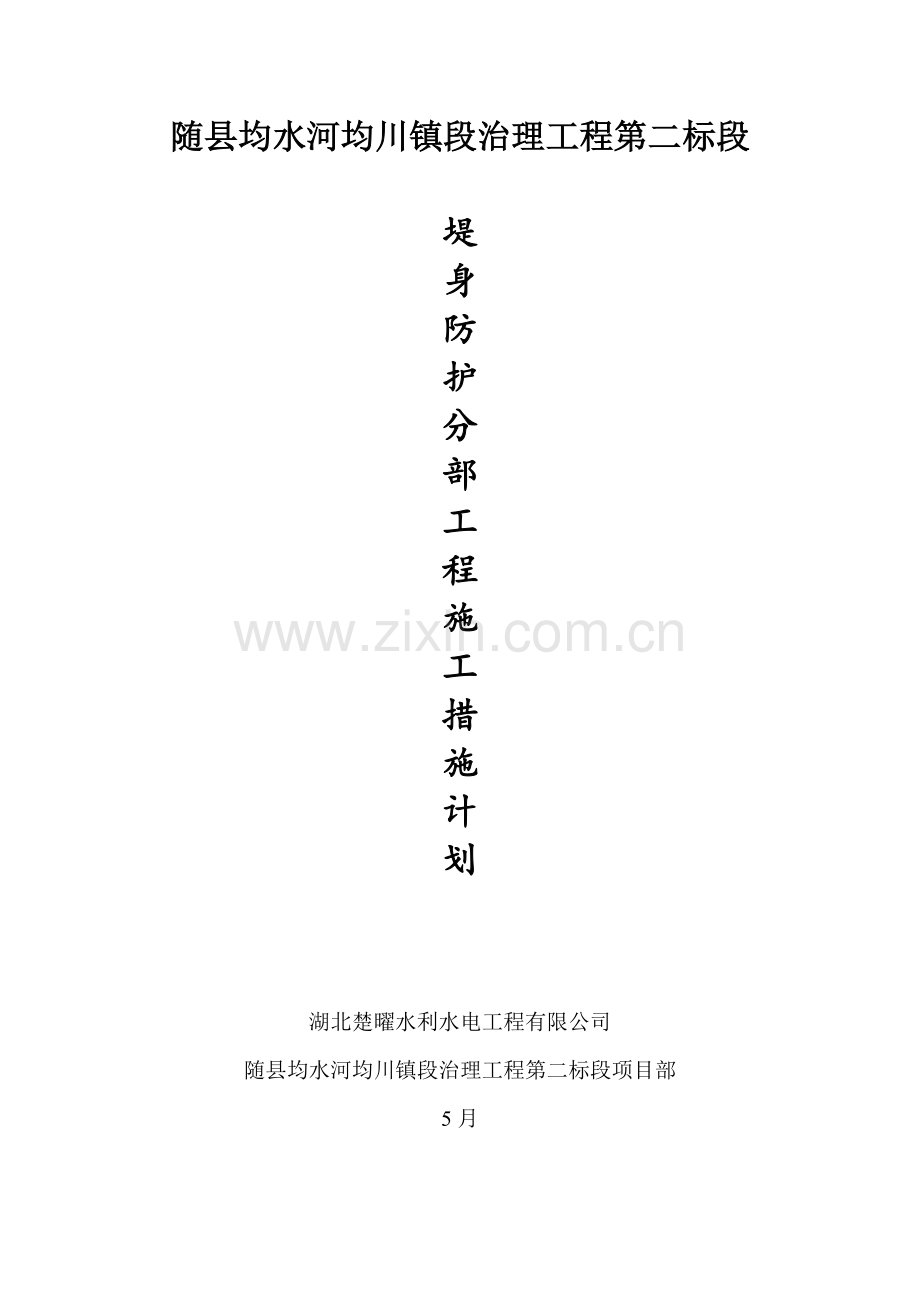堤身防护综合施工专题方案.docx_第1页