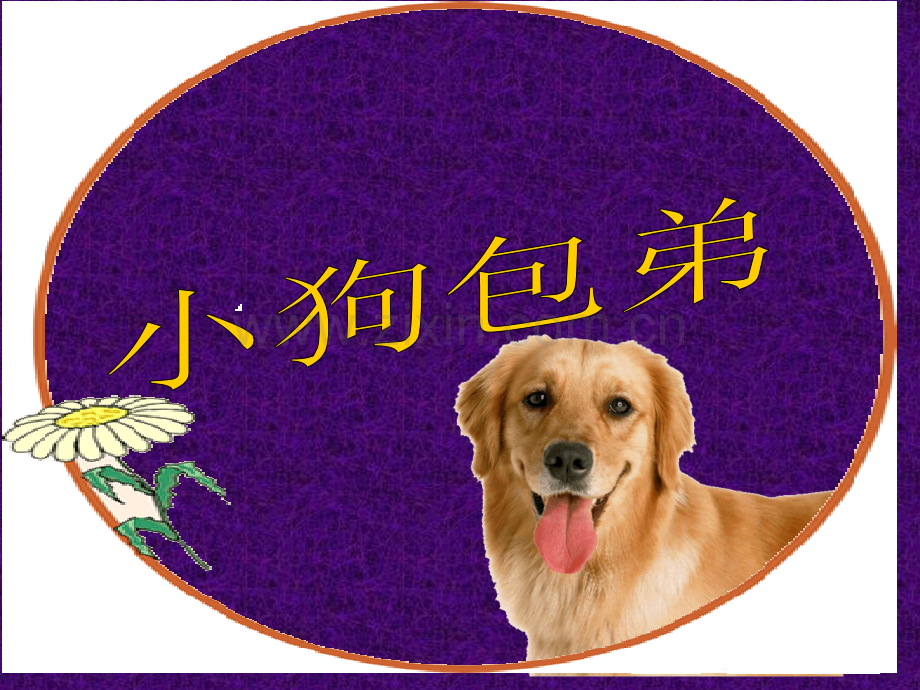 小狗包弟教案市公开课一等奖百校联赛特等奖课件.pptx_第1页