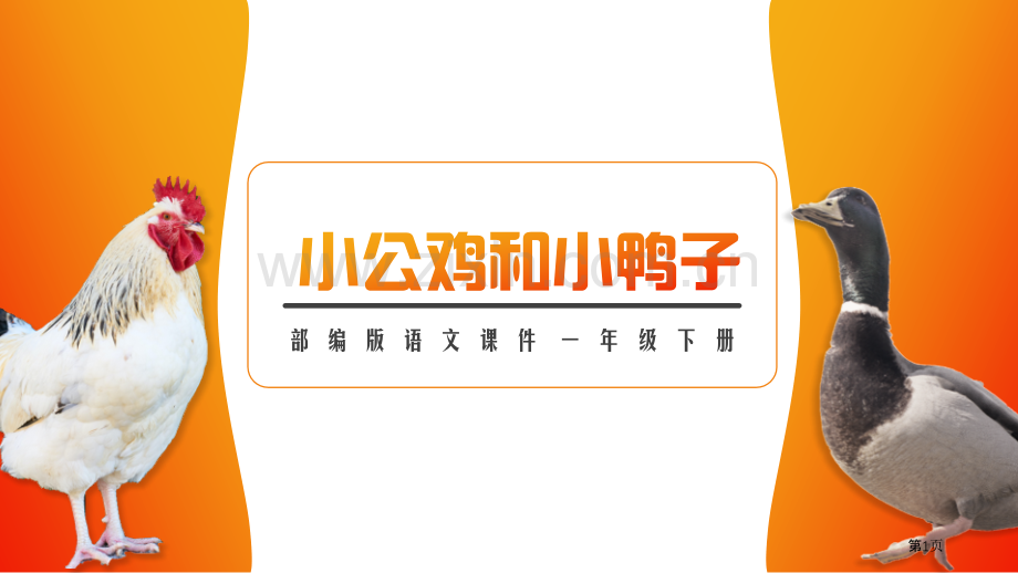 小公鸡和小鸭子课件省公开课一等奖新名师比赛一等奖课件.pptx_第1页