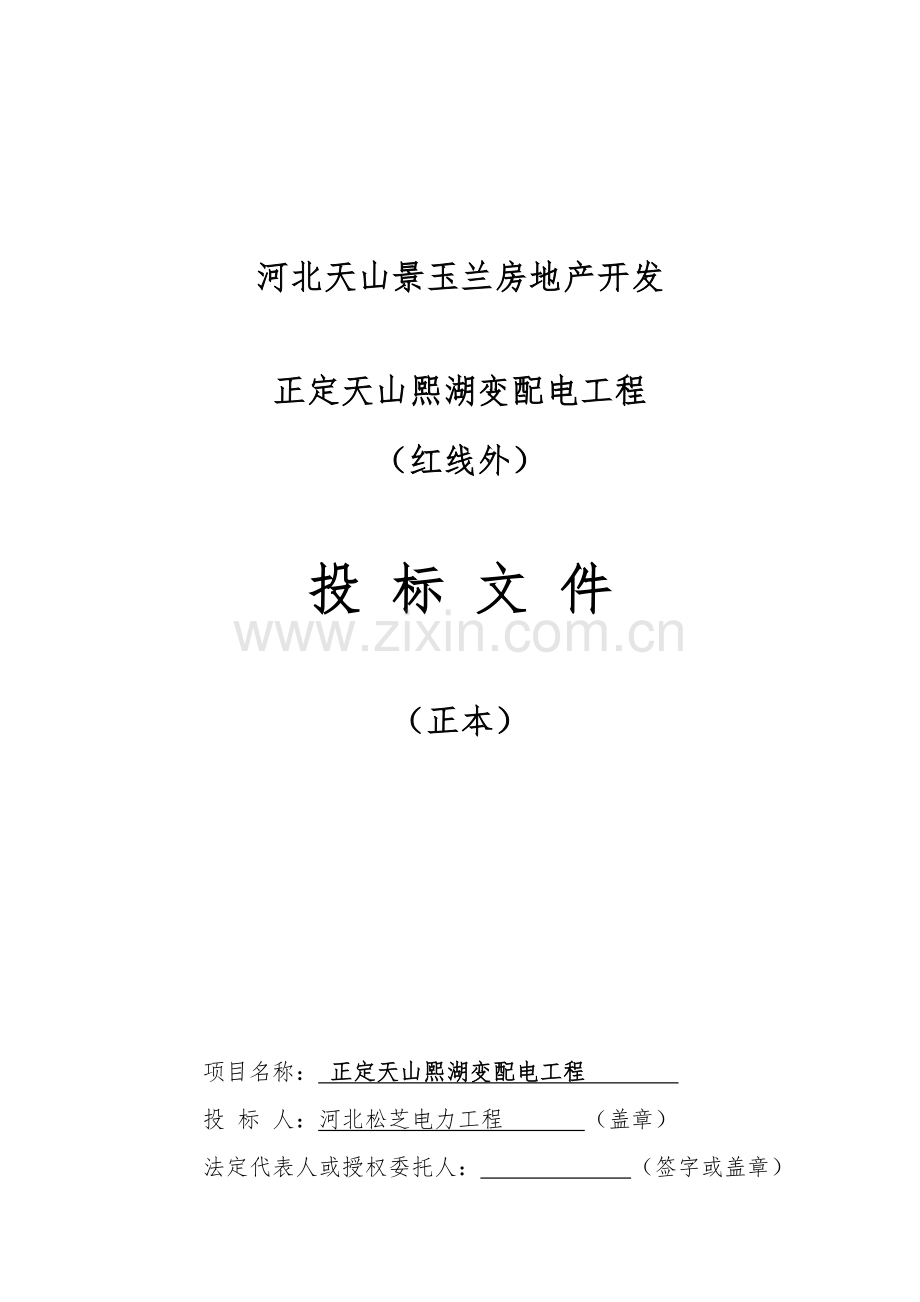 天山熙湖变配电工程招标文件模板.doc_第1页