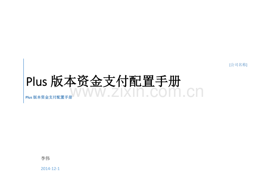 Plus版本资金支付配置手册模板.docx_第1页