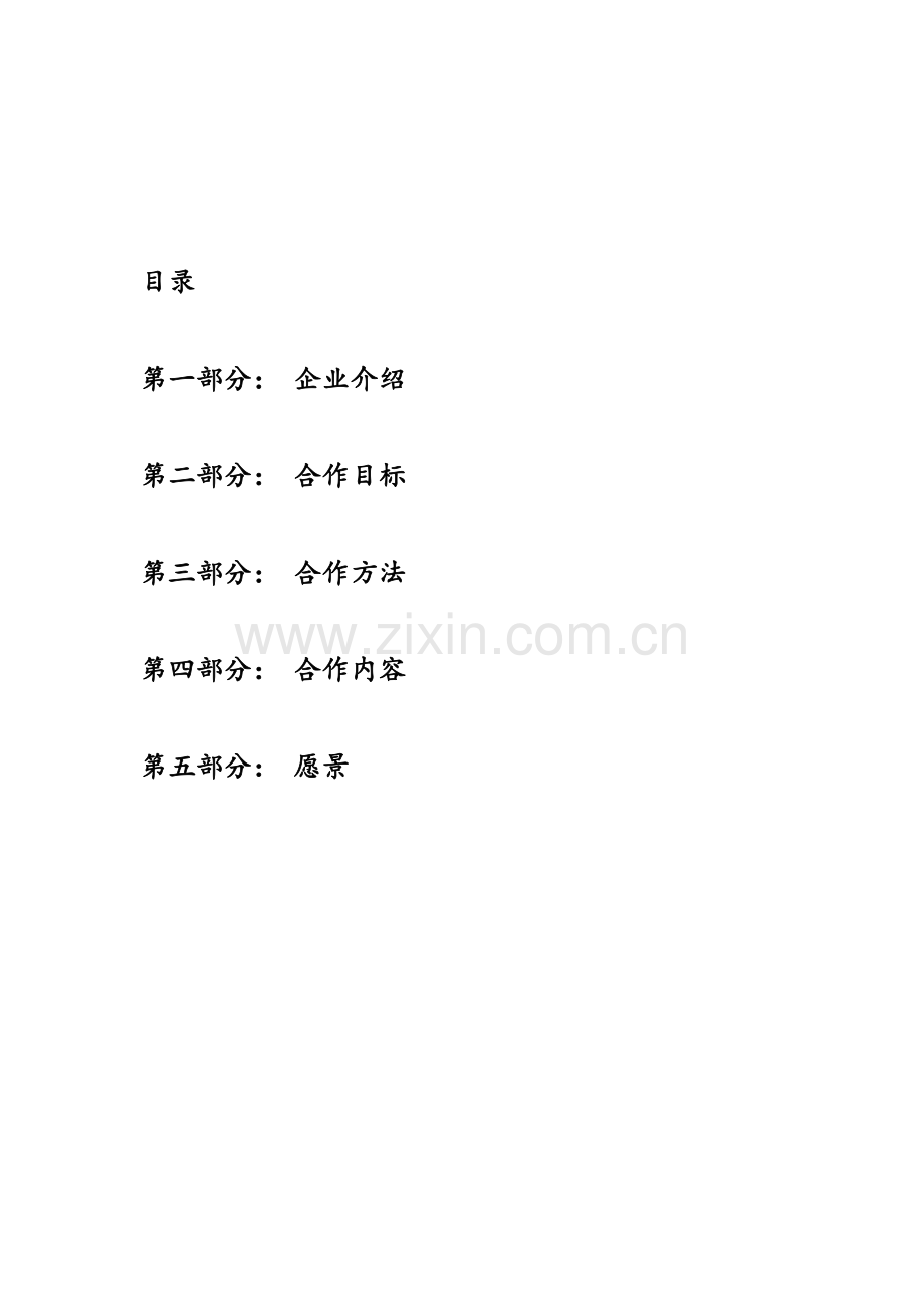 战略合作专业方案.doc_第2页