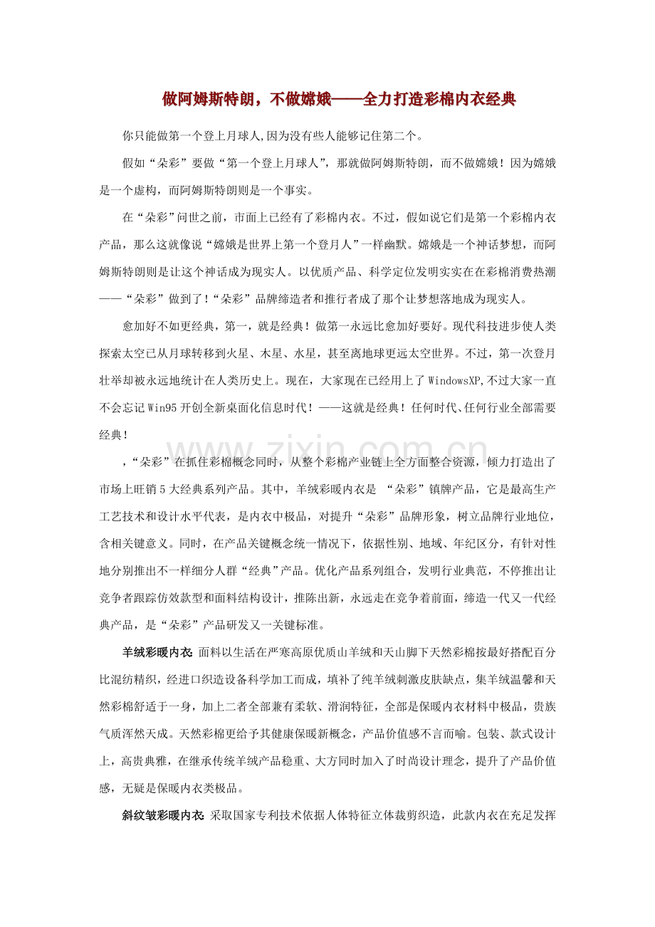 内衣品牌广告促销实战完全手册模板.doc_第2页