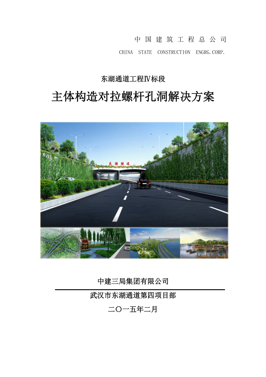 对拉螺杆孔洞处理专项方案.doc_第1页
