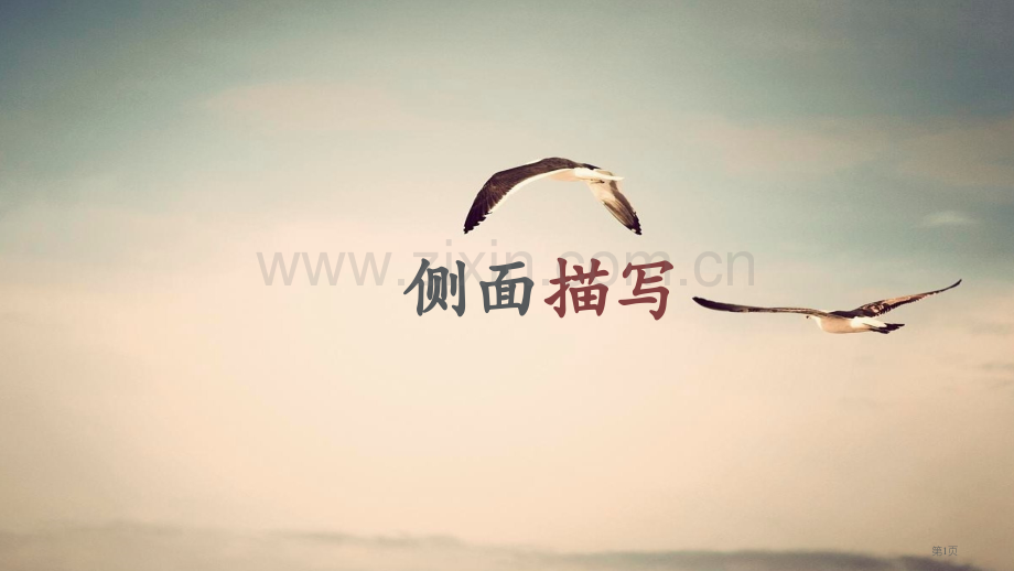 侧面描写教学省公共课一等奖全国赛课获奖课件.pptx_第1页