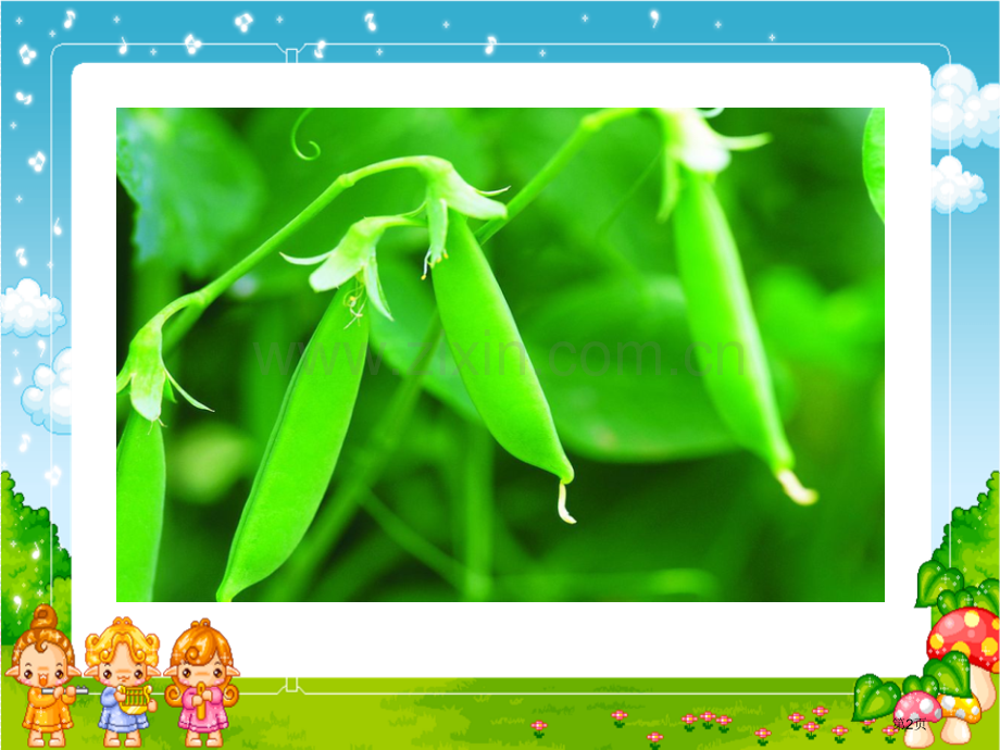 一颗小豌豆省公开课一等奖新名师比赛一等奖课件.pptx_第2页