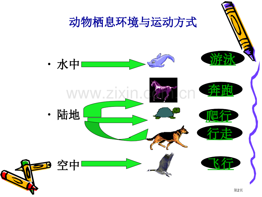动物的运动和行为复习省公共课一等奖全国赛课获奖课件.pptx_第2页