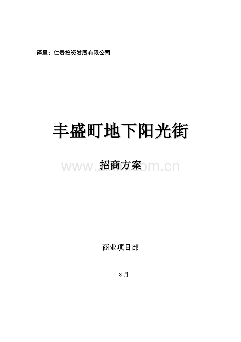 丰盛町地下阳光街招商专题方案.docx_第1页
