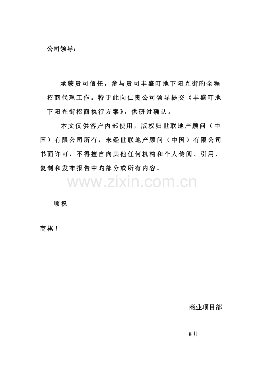 丰盛町地下阳光街招商专题方案.docx_第2页