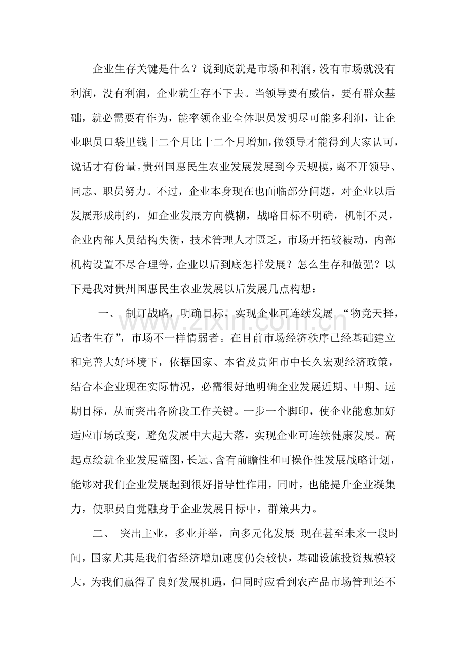 公司发展综合规划范文.doc_第2页